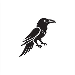 crow on a white background