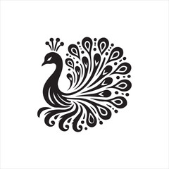 Obraz premium peacock feather vector