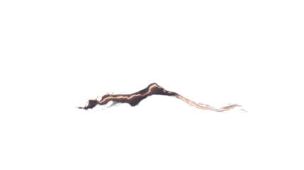 Electricity, transparent background