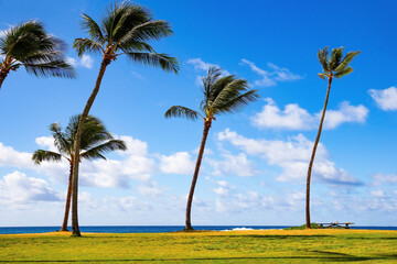 View of the Pacific beach