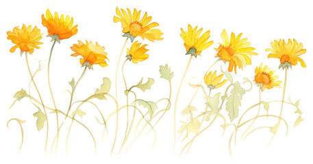 PNG Golden flower sunflower plant petal.