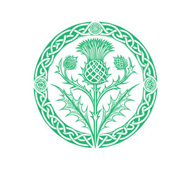 Scottish thistle vector line art in Celtic style flower 