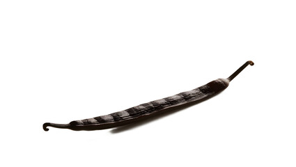 A single vanilla bean pod lying flat on a white background. The image highlights the pod's dark color and distinctive shape 