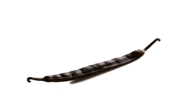 A single vanilla bean pod lying flat on a white background. The image highlights the pod's dark color and distinctive shape 