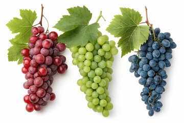 A colorful assortment of grapes: red, green, and blue, each with lush green leaves, showcasing their vibrant colors and freshness.