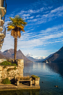 Amazing view on lke Lugano with  palm trees and snowcapped mountains in distane - Swiss Alpds