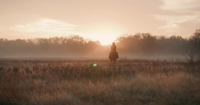 Woman Wearing Cowboy Hat Riding Galloping Horse Off Into the Orange Golden Hour of Sunset In Meadow Surrounded By Trees