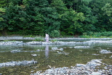 girl, teenager, walks on stones, in the river, with a veil, glasses, beads, water, clean, thickets, forest, posing, summer, day, travel, tourism, park, walk, lake 
