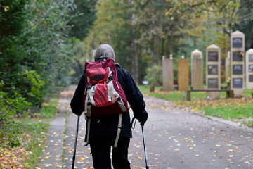 herbst auf dem waldfriedhof mainz-mombach