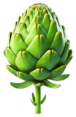 Fototapeta premium PNG Artichoke vegetable plant food.