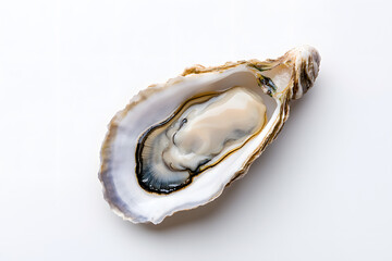 Oyster top view isolated on white background	
