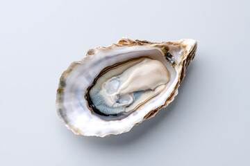 Oyster top view isolated on white background	