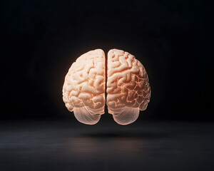 Futuristic human brain with glowing connections, symbolizing intelligence and innovation