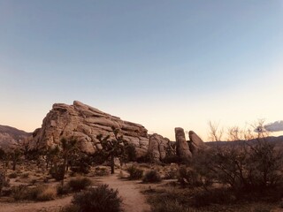 Joshua Tree National Park View at Golden Hour in the Desert