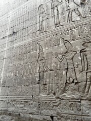 Fototapeta premium Ancient Story on Wall of Temple in Egypt