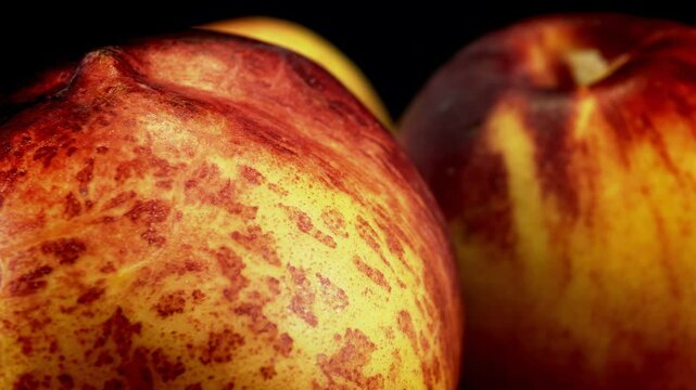 Nectarine fruit in close up bright vibrant backdrop rotating stock footage