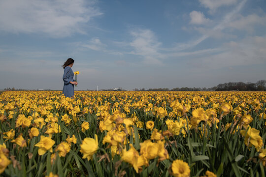 art portrait of woman in long blue dress standing in field of yellow daffodil narcissus flowers in spring