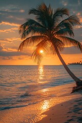 Fototapeta na wymiar A single palm tree stands tall on a sandy beach at sunset, with the warm orange glow of the setting sun casting long shadows
