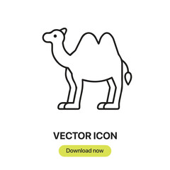 Camel icon vector. Linear-style sign for mobile concept and web design. Camel symbol illustration. Pixel vector graphics - Vector.