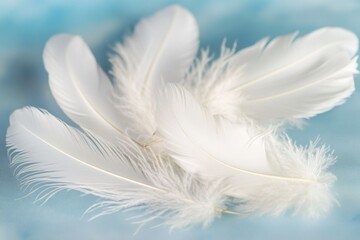 Fototapeta premium Close-up of two white feathers on a blue surface