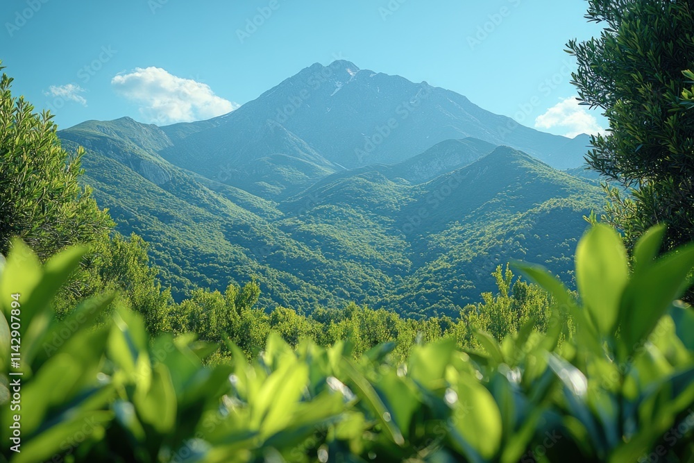 Poster Panoramic view of a mountain range from a distance with snow-capped peaks and rolling hills