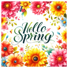 Vibrant floral border colorful spring flowers gerbera daisies