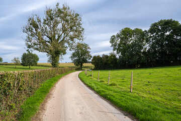 Route de campagne bordée de prairies et de haies