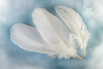 Obraz premium A pair of white feathers against a bright blue background