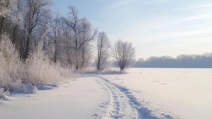 serene winter landscape with snow-covered trees and icy paths, under a pale blue sky, capturing the tranquility of frozen nature in a picturesque scene