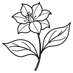 black and white flower