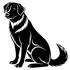 black and white dog illustration
