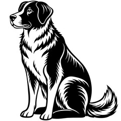 black labrador retriever