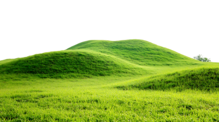 Green field and mountain on transparent background.
