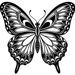 black and white butterfly