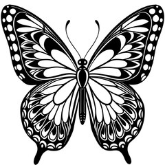 black and white butterfly