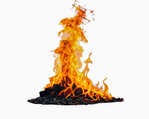 feu de camp sur fond blanc 
