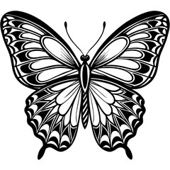 black and white butterfly