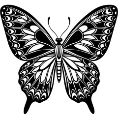 butterfly illustration