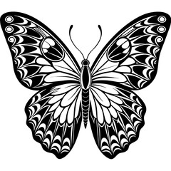 black and white butterfly
