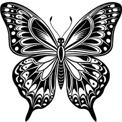black and white butterfly