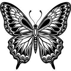 black and white butterfly