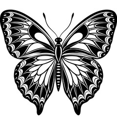 black and white butterfly