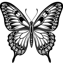 black and white butterfly