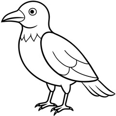 bird on a white background