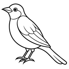 illustration of a bird