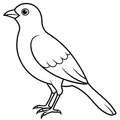 illustration of a bird