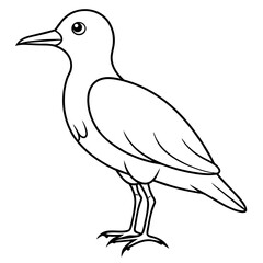 Fototapeta premium illustration of a bird