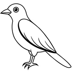 illustration of a bird