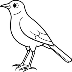 sketch of a bird