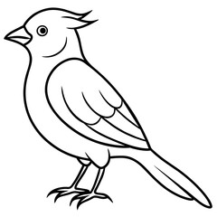 illustration of a bird